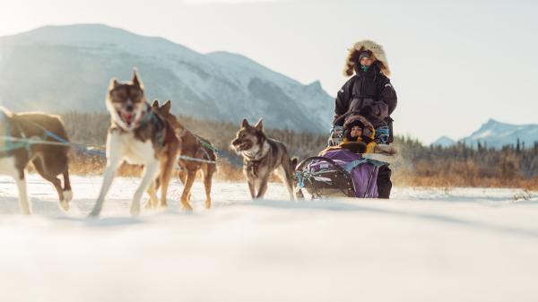 Dog Sledding through the forest near Southern Lakes Resort.