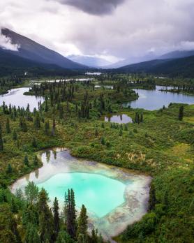 Jacques-South Canol Road-0484-.jpg